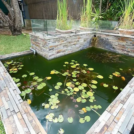 Beautiful Family With A Pool Эшторил